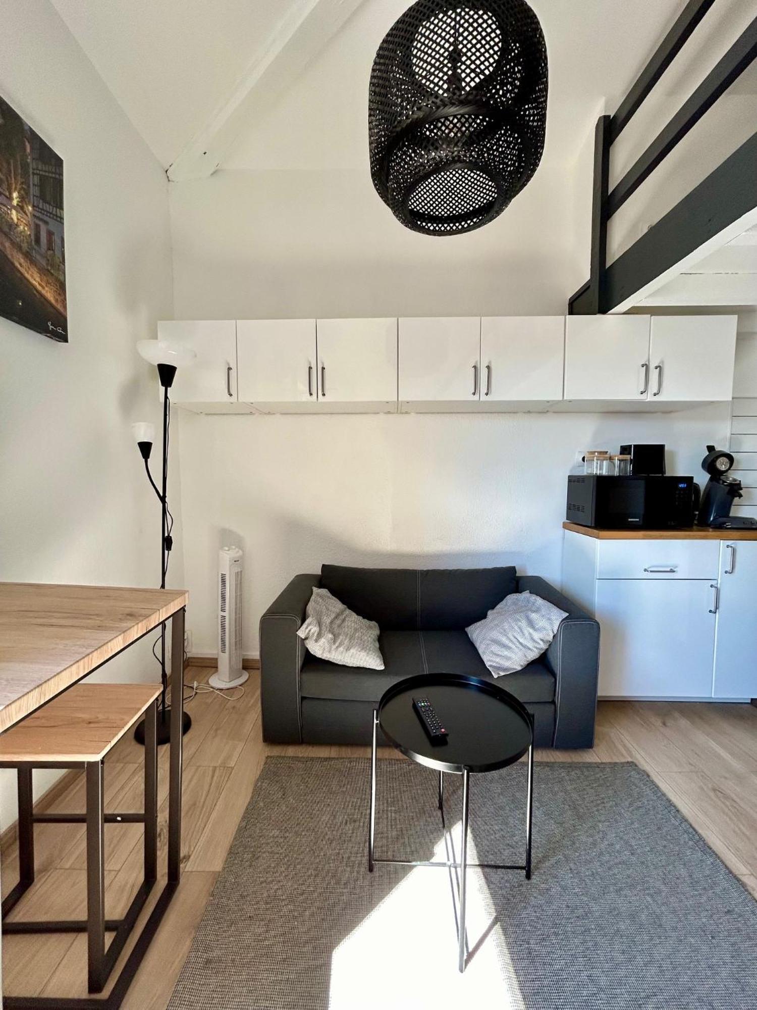 טולוז Le Duplex Toulousain - Tram Metro - Centre Ville מראה חיצוני תמונה