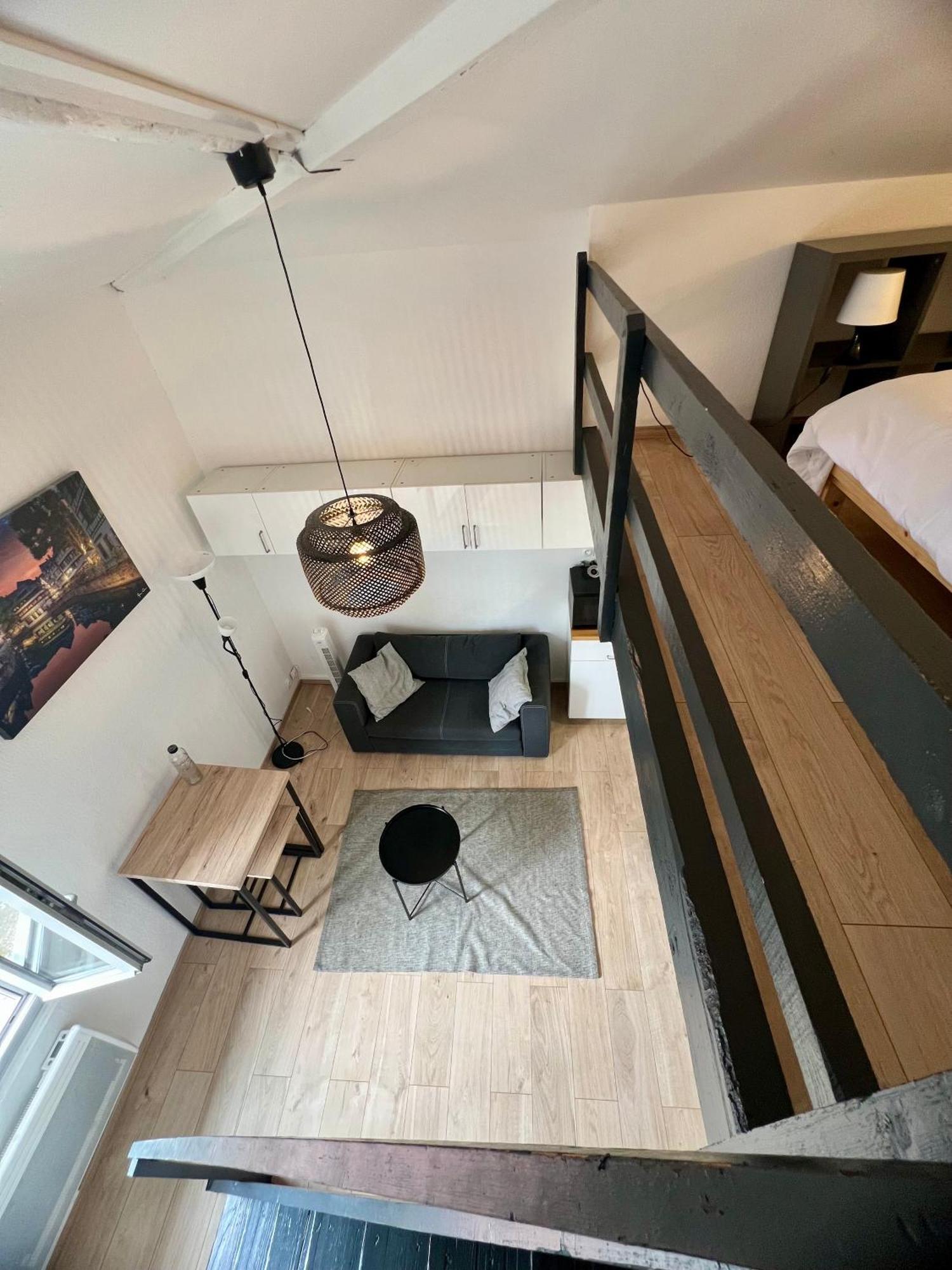 טולוז Le Duplex Toulousain - Tram Metro - Centre Ville מראה חיצוני תמונה